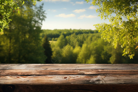 一张树叶素材树下的木头桌子背景