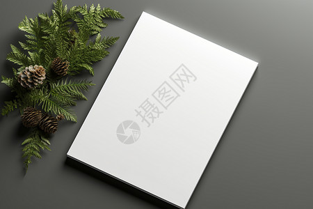 封面素材植物清新的白色笔记本背景