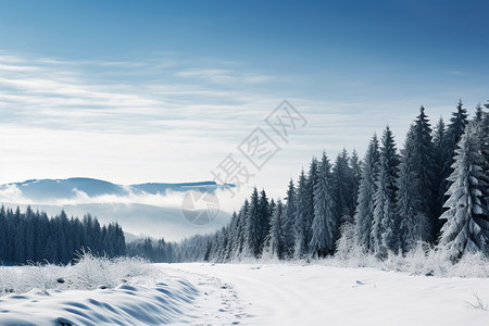 蓝天下的雪山风景图片