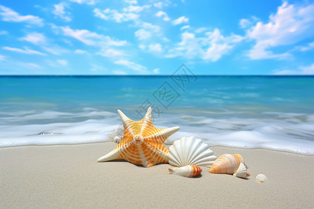 梦境海岸假期贝壳高清图片