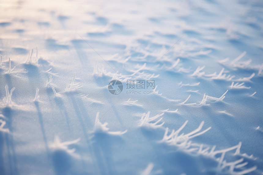 唯美的冬日雪地图片