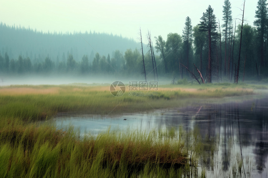 晨雾中的湖泊图片
