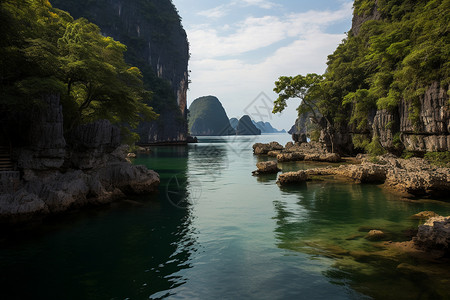 郁郁葱葱的峡谷风景高清图片