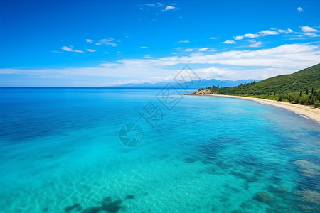 辽阔的夏季大海景观图片