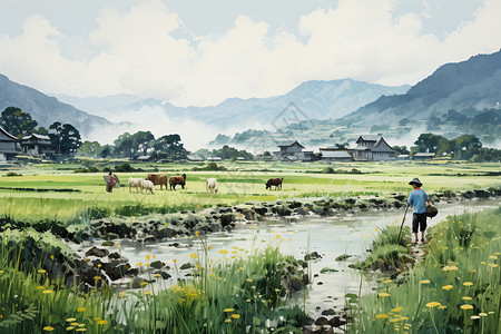 夏季稻田耕作的农民图片