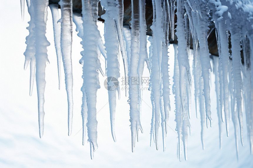 冬季的冰柱图片