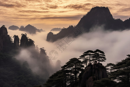 黄山云海背景图片