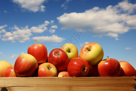 红黄苹果满箱背景图片