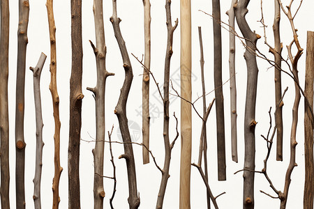 木料加工不同的树枝树棍插画
