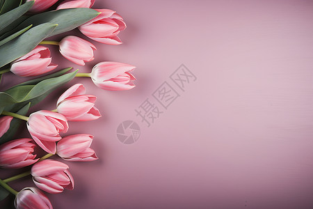 春季绽放的郁金香花束图片