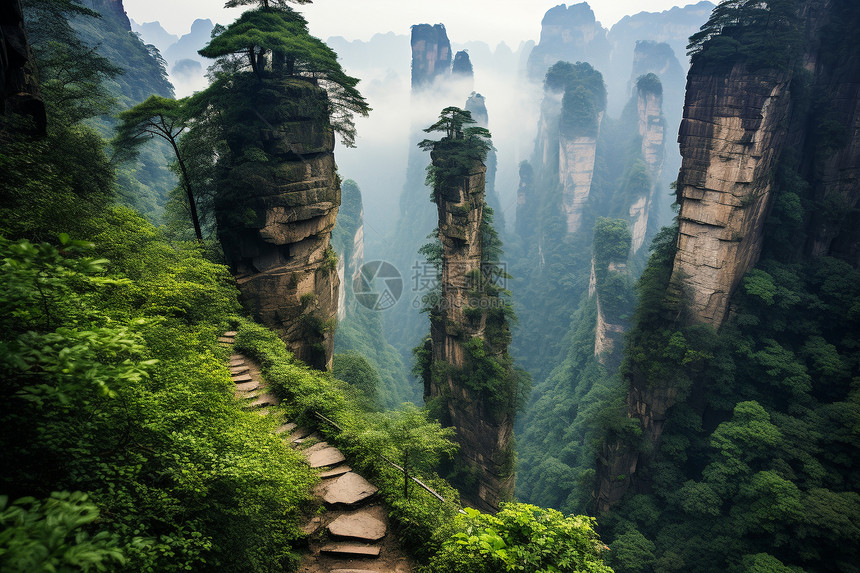 山峰上的植物图片