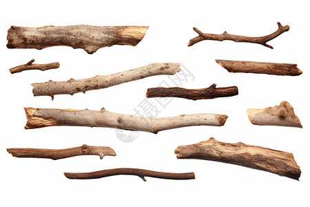 腐朽木头干枯磕巴的木棍插画