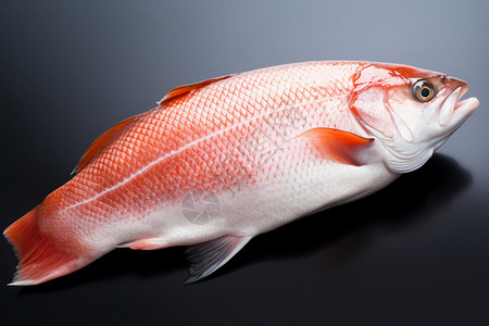 新鲜健康的鱼背景图片