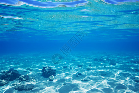美丽海底世界美丽的海底世界背景