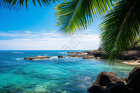 热带海岛风光背景图片