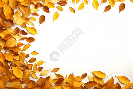 创意秋季落叶背景背景图片
