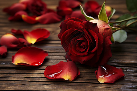雨后木桌上的玫瑰花背景图片