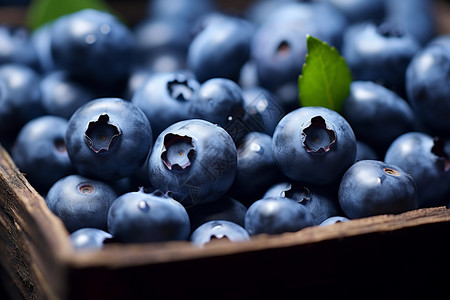 好吃的蓝莓装满蓝莓盒子高清图片