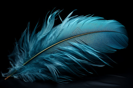 柔软的蓝色羽毛背景图片