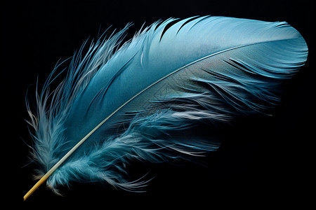 复古羽毛轻盈的蓝色羽毛背景