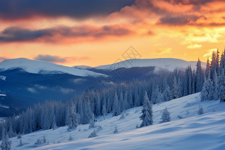 落日后的天空雪后的山林景观背景