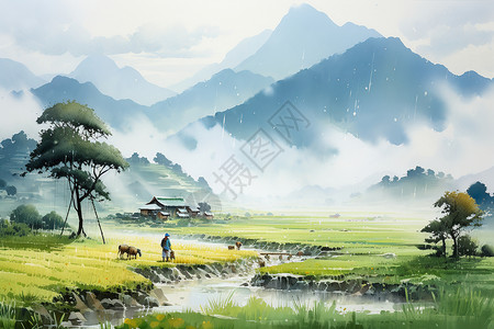 稻田后壮丽的山峦图片