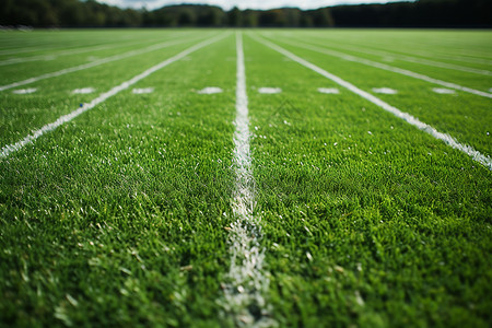 球场的草坪橄榄球场高清图片