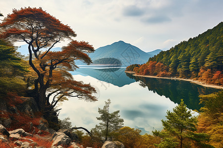 湖畔秋色背景图片