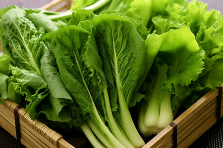 水东芥菜营养的绿色蔬菜背景