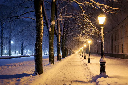 冬夜城市街道景观高清图片