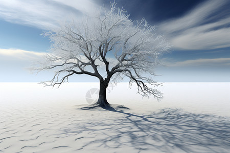 孤寂之冬的枯树图片