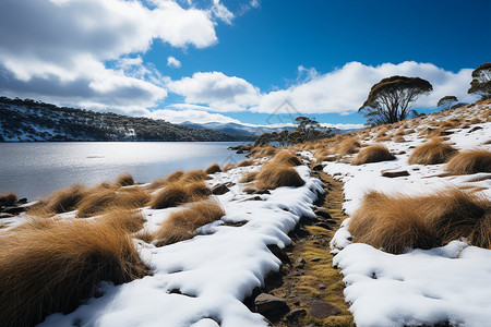 冰雪美景图片