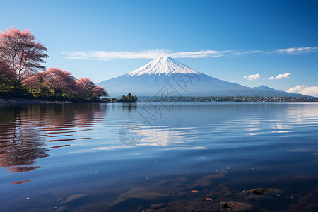 富士山初春的湖畔景色背景图片