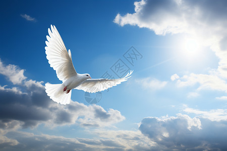 自由之翼凌云之鸟背景
