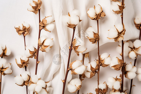 柔软的白色棉花背景图片