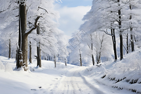 初晴冬日冬日白雪初霁背景