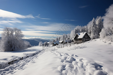冬季白茫茫的山脉森林景观图片