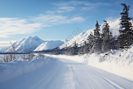 冬季雪山中的公路图片