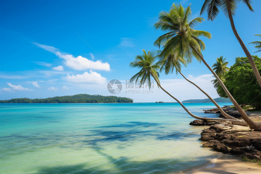 蔚蓝海水的度假海滩景观图片