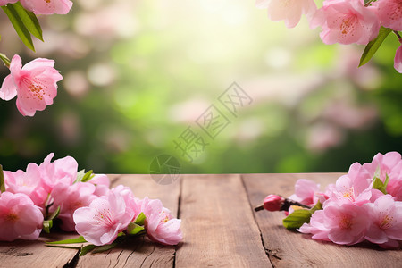 春季木板上飘落的桃花图片