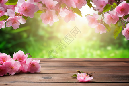 桃花飘落春季木板上的桃花背景