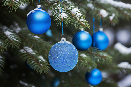 冬日中的蓝色圣诞树图片