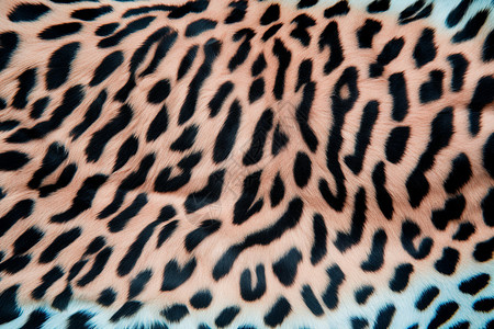 彩色的豹纹布料高清图片