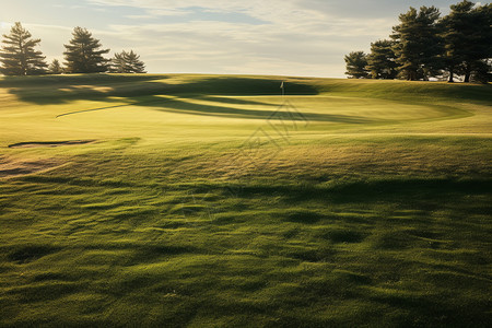 高尔夫球洞高尔夫球场上绿草如茵设计图片