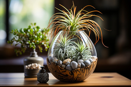 玻璃花盆玻璃杯里的植物摆件背景