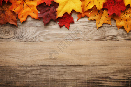 秋天的落叶背景背景图片