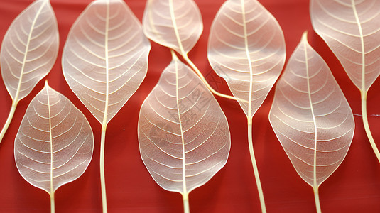 手工制作的树叶背景图片