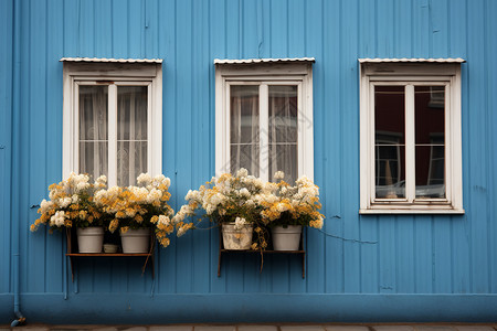 北欧建筑物蓝色墙壁上的花砖路冰岛传统建筑中的一幢蓝色建筑物背景