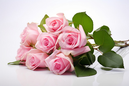 浪漫粉色玫瑰背景图片