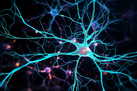 多动症中的神经元网络帕金森疾病的神经元网络设计图片